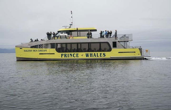 Whale Watching in Vancouver - Foto 7