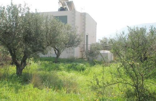 Ktima Nikolaos - Foto 48