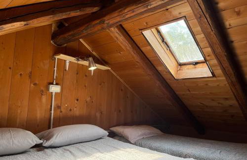 Agriturismo antico mulino sul Dolo - Foto 12