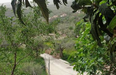 Casa Carrie - Foto 14