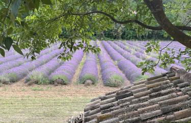 Menerbes Luberon maison moderne clim piscine - Photo 16