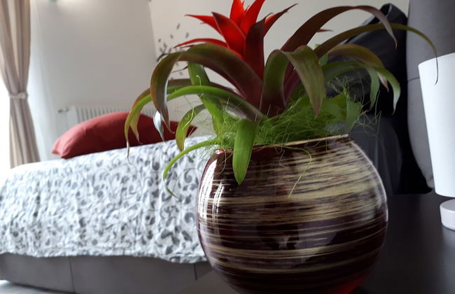 Casa Gardenia - Foto 15