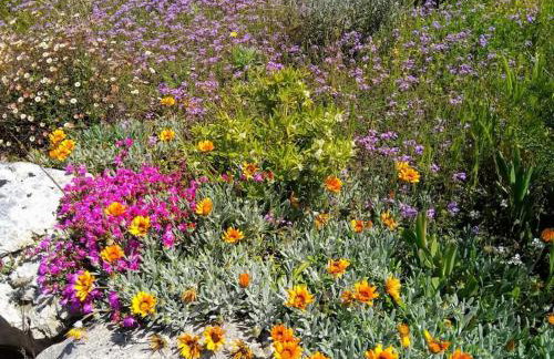 Casa ParitiRossi nella verde campagna salentina - Foto 15