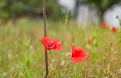 West Cottage by Bloom Stays - Photo 38