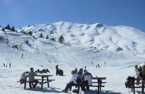 Arli House - Photo 38