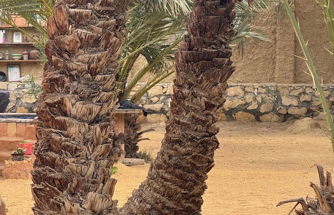 TATRABENT - Eco Friendly retreat in Siwa - Foto 51