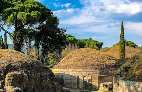Gigli di Mare - SANTA SEVERA - Foto 43