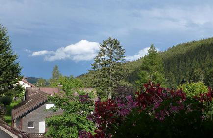 Schwarzwald-Hotel Kraeutle - Foto 57