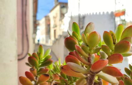 La Casina de Piedra ENCANTO - Parte Antigua de Cáceres - Foto 43