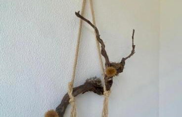 Encosta do Sol - Foto 27