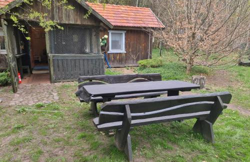 Dom Pod Brzozami Lipinki Bory Tucholskie basen - psy, koty mile widziane! - Photo 11