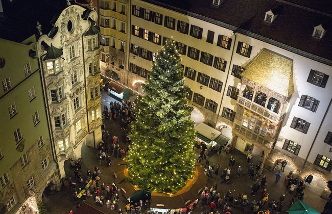 Alpbach Bergwald - Foto 71