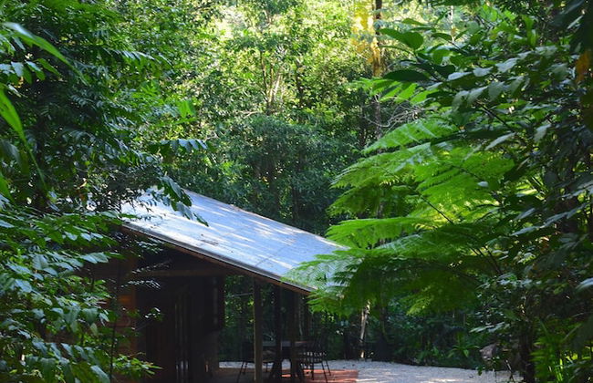 Daintree Cascades - Foto 52