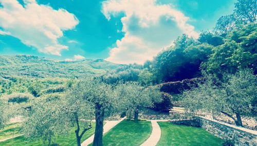 Casa vacanze gli ulivi - Foto 2