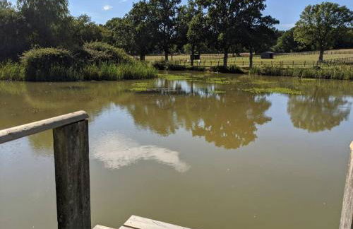 The Barn New Forest Free Paddle boarding & free Zip wire. - Foto 15