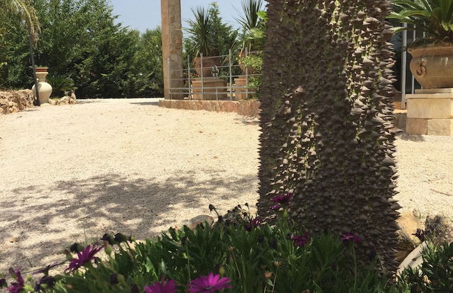 Casale Cappuccini - Foto 38