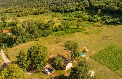 Forest Paradise - Foto 31