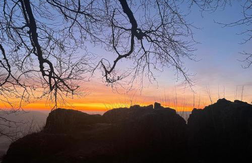 Ferienwohnung Ameis - Foto 13