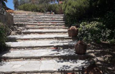 Casolare il Moro - Foto 13