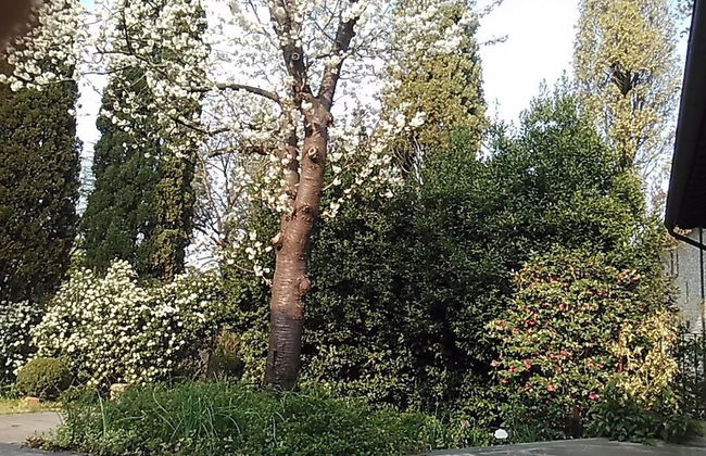 Corte San Ruffillo-Azienda Agrituristica - Foto 30