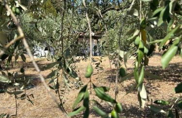 Villa Helga by the Sea - Photo 12