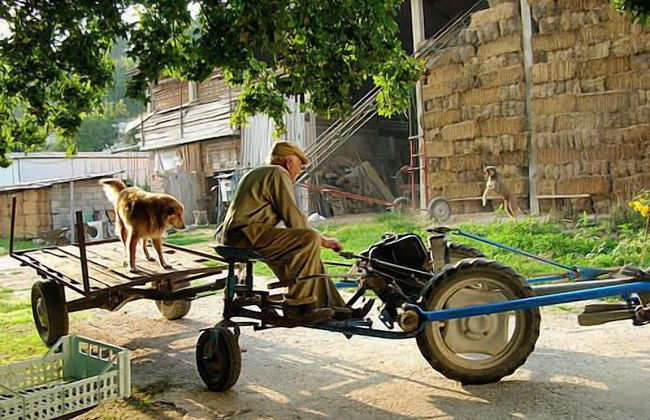 Agriturismo Monti Sibillini Camperato - Photo 36