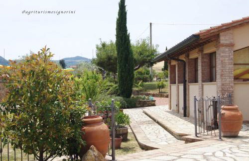 Agriturismo Signorini - Foto 33