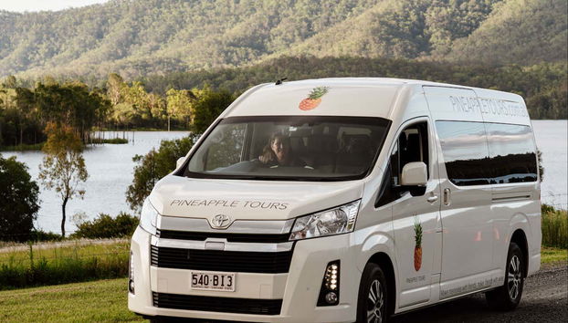 Excursion aux grottes des vers luisants du mont Tamborine - Photo 3