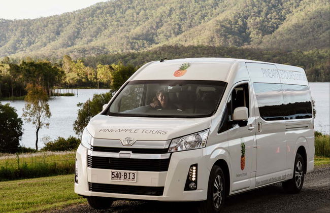 Glow Worm Caves Day Trip from Brisbane - Photo 3