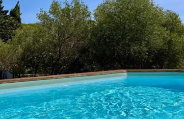 Charmante maison vue garrigue avec piscine - Foto 18