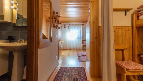 Petit Arnica - Foto 2