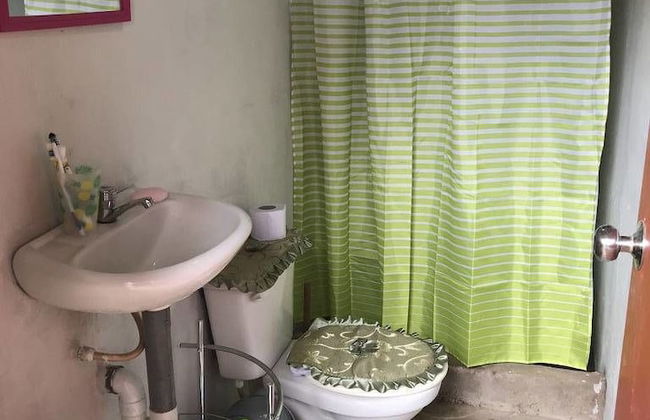 Ayahuaska - Photo 16