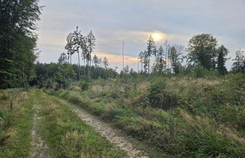 Ferienhaus Waldgefluester - Foto 23