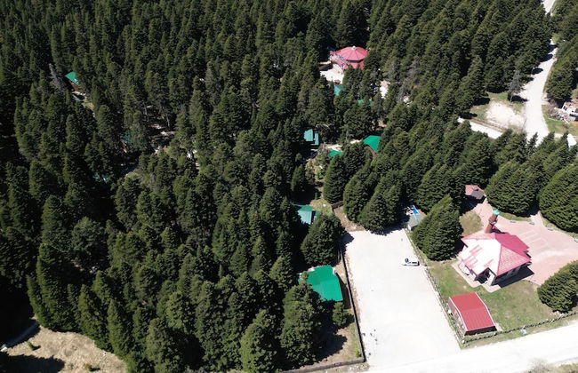 Karinna Forest Houses - Foto 55