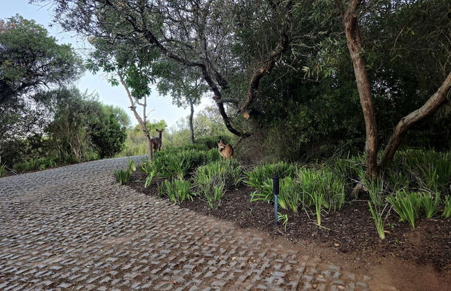 Oubaai Villa - Foto 80