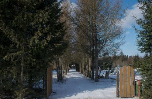 Uroczysko Ruczaj - Foto 51