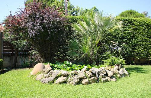 Peter's Country House - Foto 34