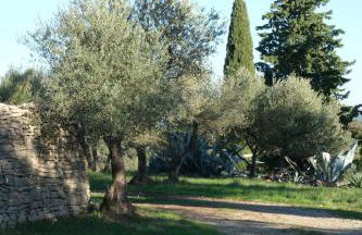 Gîtes au Domaine de Baubiac - Foto 19