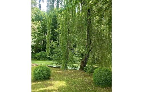 "Artuico" with garden in the castle - Foto 13