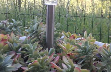 Flor de Pomar - Foto 20