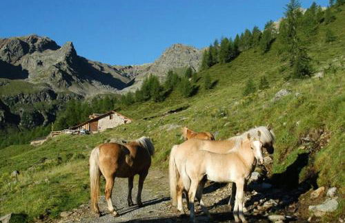 Mas De La Bolp - Chalet - Foto 73