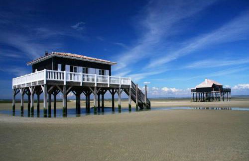 Cosy&Charme piscine chauffée Bassin d'Arcachon - Foto 63