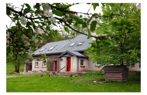 Kozy i Róże - Foto 1