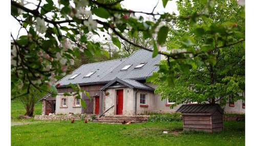 Kozy i Róże - Foto 1