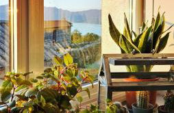 Miradoiro 38 - Foto 8