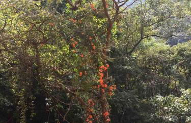 Reserva Atibaia / Casa de Montanha - Photo 39