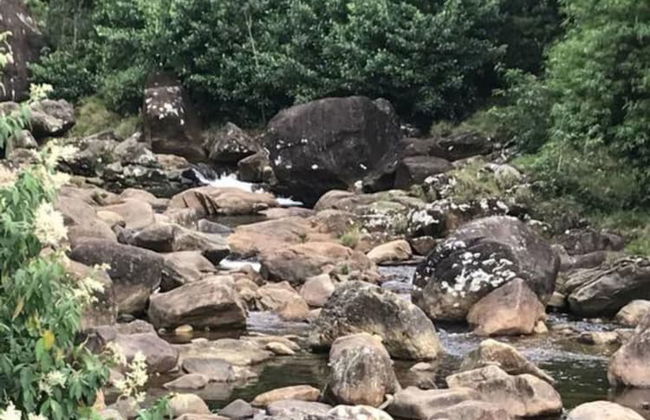 Pure Land Villa - Foto 22