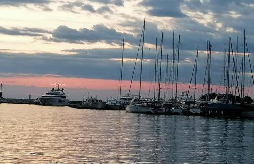 Apartman Natali - Foto 15