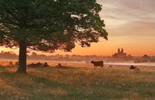 Charming 2-bed Cottage on Outskirts of Beverley - Foto 17