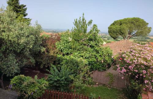 Il Fico di Cortona - Foto 15